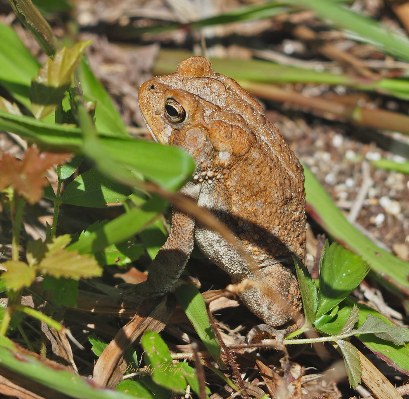 September 2015 Photos