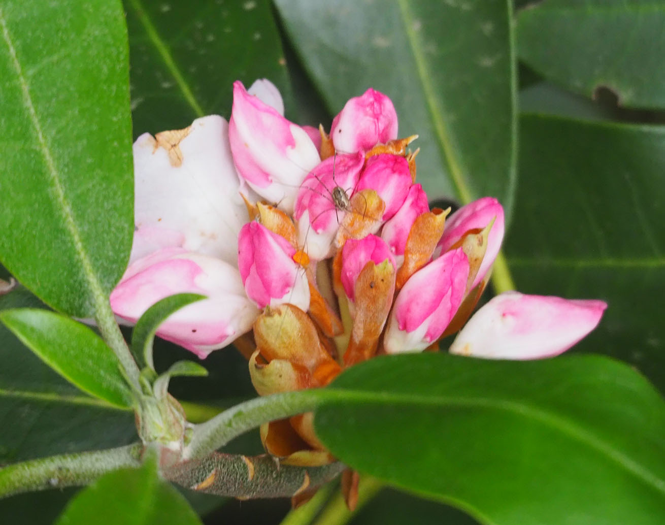 June 2019 Photos